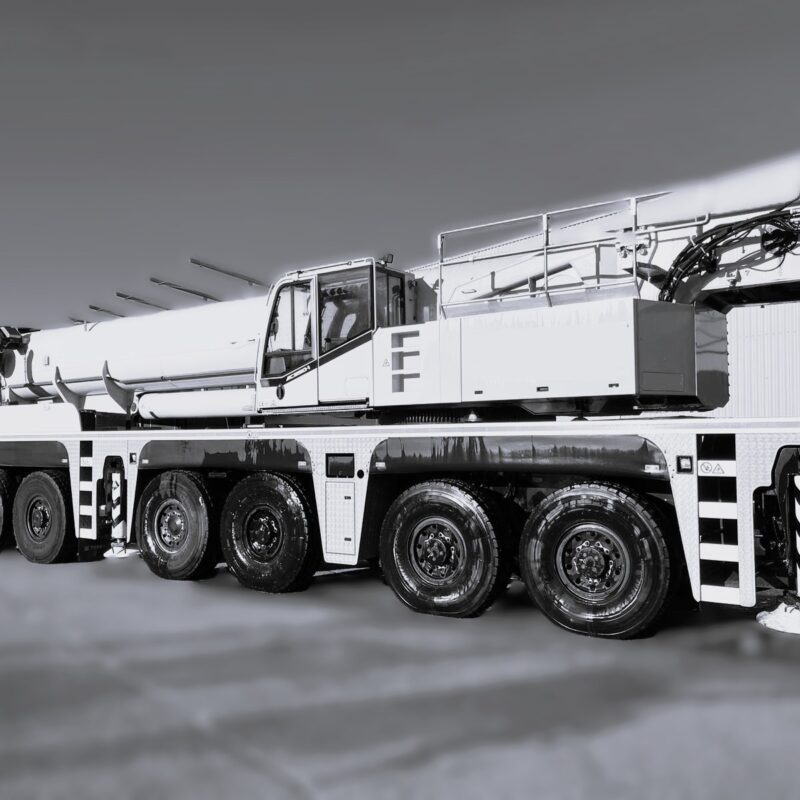 USED DEMAG AC250-1 2010 FOR SALE @GRCOMEX