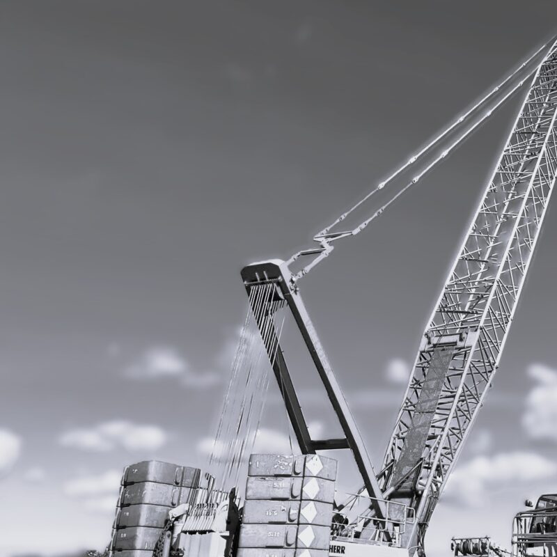 USED LIEBHERR LR1200 2010 CRAWLER CRANE FOR SALE @GRCOMEX